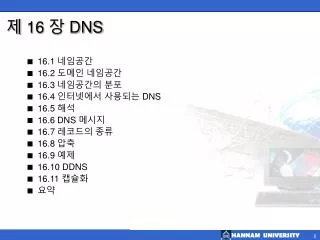 16 dns