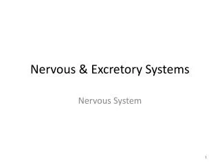 Nervous &amp; Excretory Systems