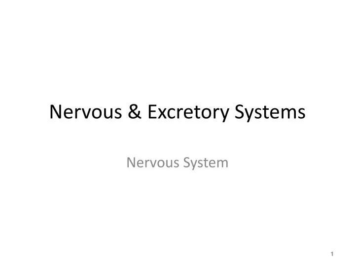 nervous excretory systems