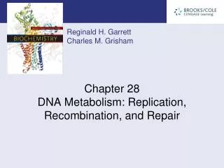 Chapter 28 DNA Metabolism: Replication, Recombination, and Repair