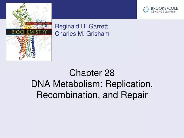 chapter 28 dna metabolism replication recombination and repair