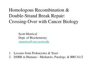 Homologous Recombination &amp; Double-Strand Break Repair: Crossing-Over with Cancer Biology