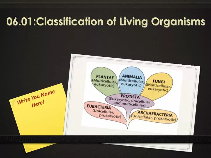 06 01 classification of living organisms