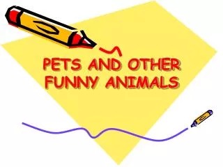 PETS AND OTHER FUNNY ANIMALS