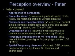 Perception overview - Peter