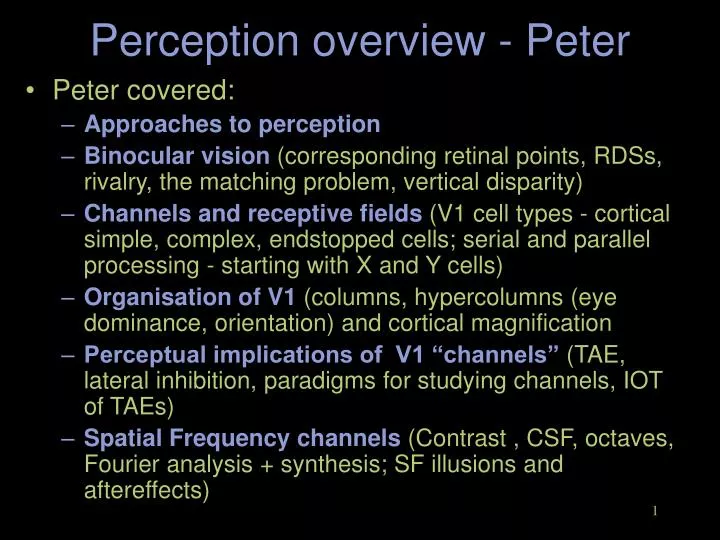 perception overview peter