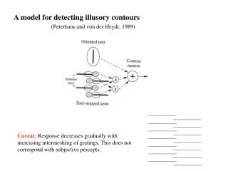 A model for detecting illusory contours
