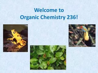 Welcome to Organic Chemistry 236!