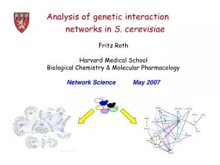 Analysis of genetic interaction networks in S. cerevisiae
