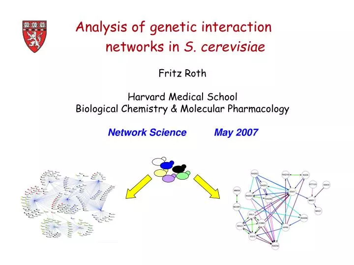 analysis of genetic interaction networks in s cerevisiae