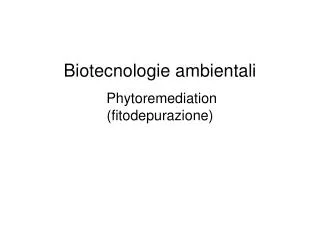 Biotecnologie ambientali Phytoremediation (fitodepurazione)