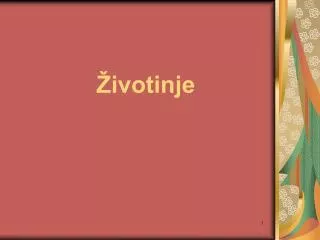 ivotinje