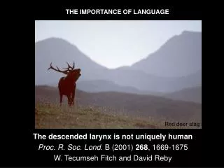 The descended larynx is not uniquely human Proc. R. Soc. Lond. B (2001) 268 , 1669-1675