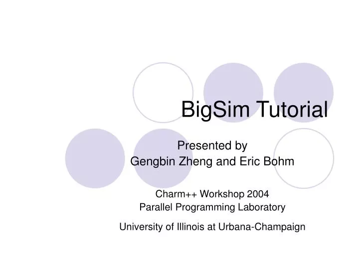 bigsim tutorial