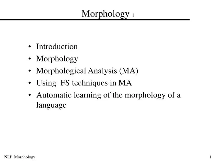 morphology 1