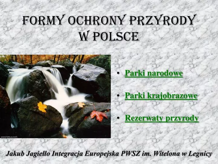 formy ochrony przyrody w polsce