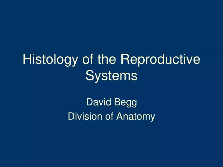 histology of the reproductive systems
