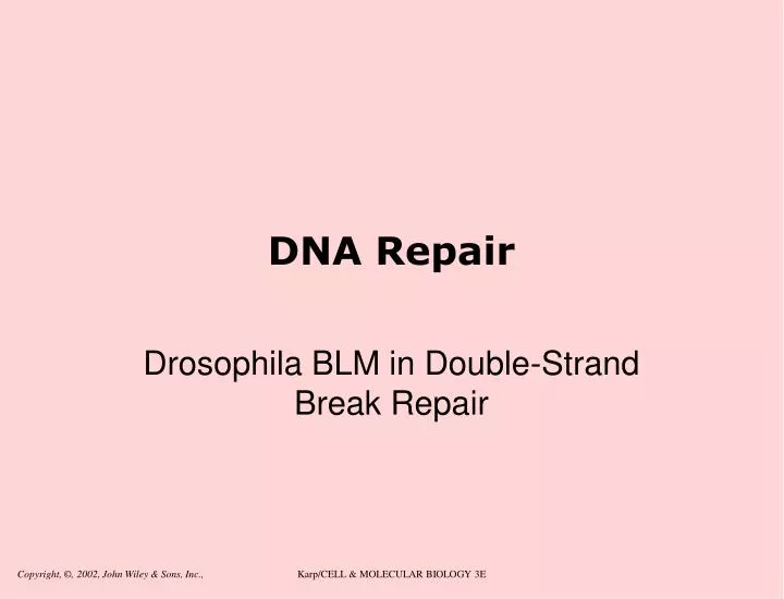 dna repair