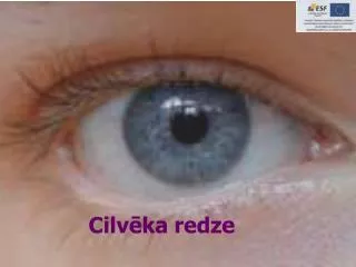 cilv ka redze