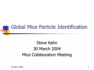 Global Mice Particle Identification