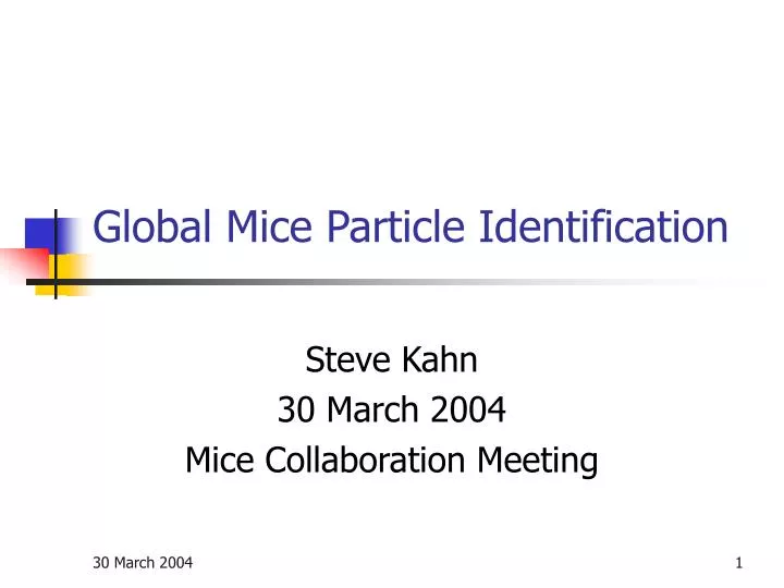 global mice particle identification