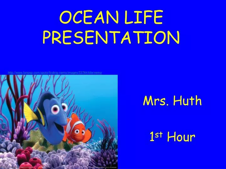 ocean life presentation