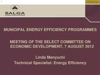 MUNICIPAL ENERGY EFFICIENCY PROGRAMMES