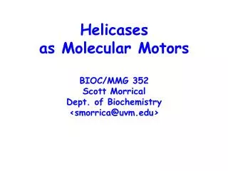Helicases as Molecular Motors BIOC/MMG 352 Scott Morrical Dept. of Biochemistry &lt;smorrica@uvm&gt;