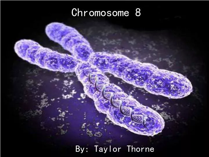 chromosome 8