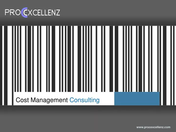 cost management consulting