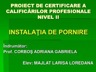 proiect de certificare a calific rilor profesionale nivel ii