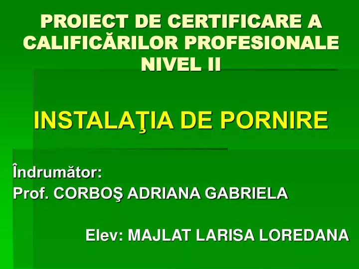 proiect de certificare a calific rilor profesionale nivel ii
