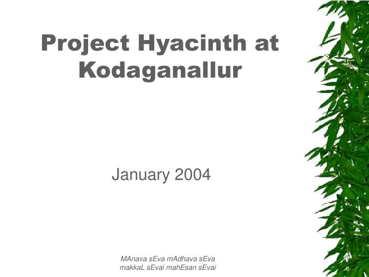 project hyacinth at kodaganallur