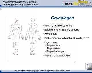 Physiologische und anatomische Grundlagen der körperlichen Arbeit