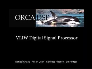 VLIW Digital Signal Processor