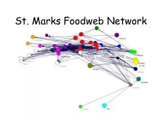 St. Marks Foodweb Network