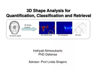 3D Shape Analysis for Quantification, Classification and Retrieval