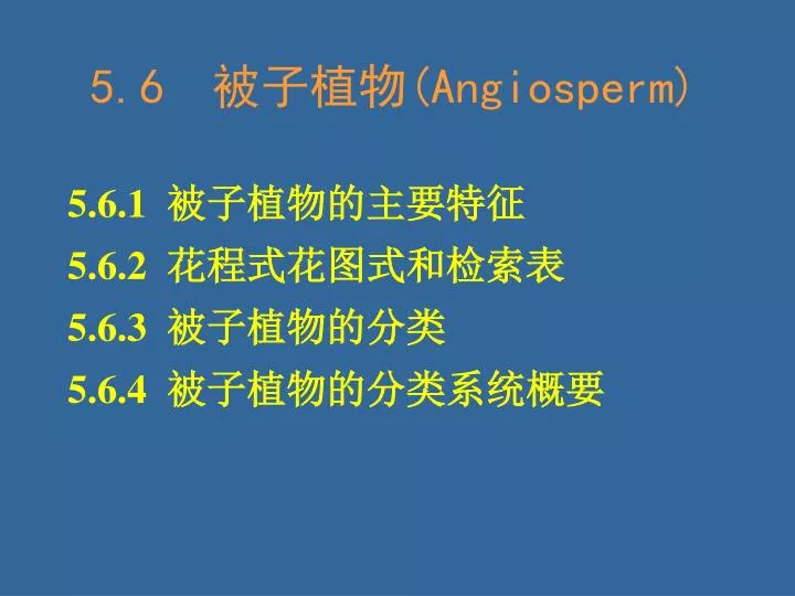 5 6 angiosperm