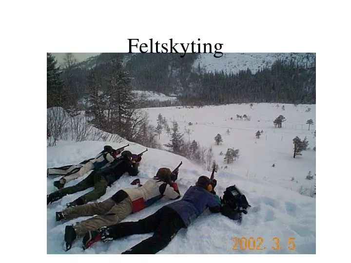 feltskyting
