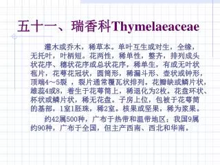 thymelaeaceae