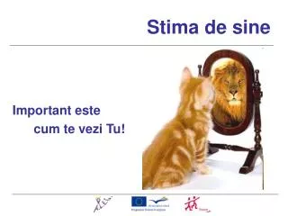 stima de sine