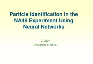 Particle Identification in the NA48 Experiment Using Neural Networks