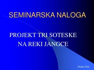 seminarska naloga