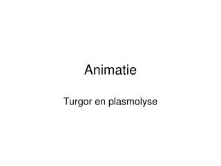 animatie