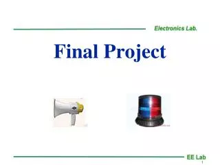 final project