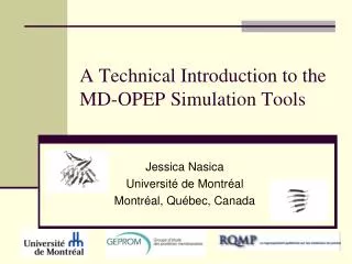 A Technical Introduction to the MD-OPEP Simulation Tools