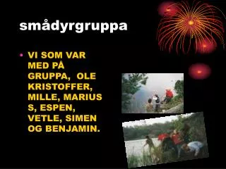 sm dyrgruppa