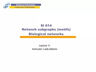 SI 614 Network subgraphs (motifs) Biological networks
