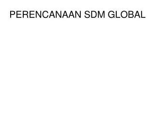 perencanaan sdm global