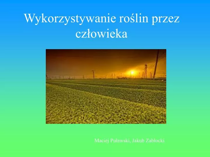 wykorzystywanie ro lin przez cz owieka